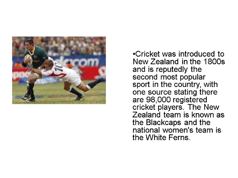 Cricket was introduced to New Zealand in the 1800s and is reputedly the second